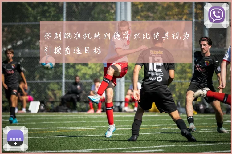 热刺瞄准托纳利德泽尔比将其视为引援首选目标