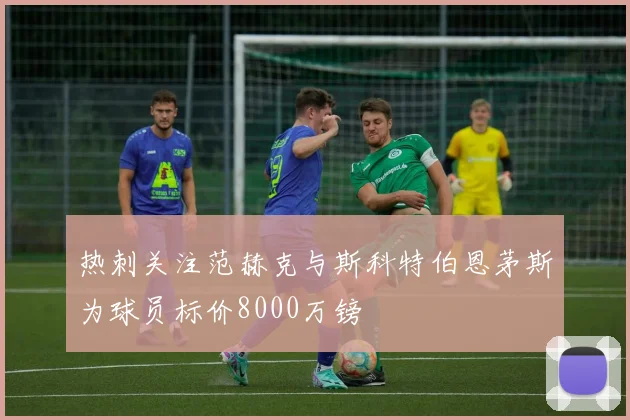 热刺关注范赫克与斯科特伯恩茅斯为球员标价8000万镑